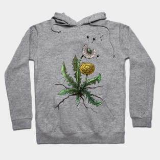 Dandelion Hoodie